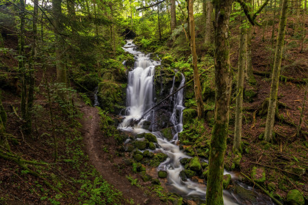 Spritzige Herbststimmung: Wasserfälle im Hochschwarzwald